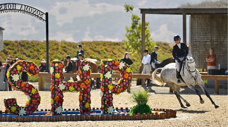 Dappled gray horse cantering past a SHP water feature in the Grand Prix arena.